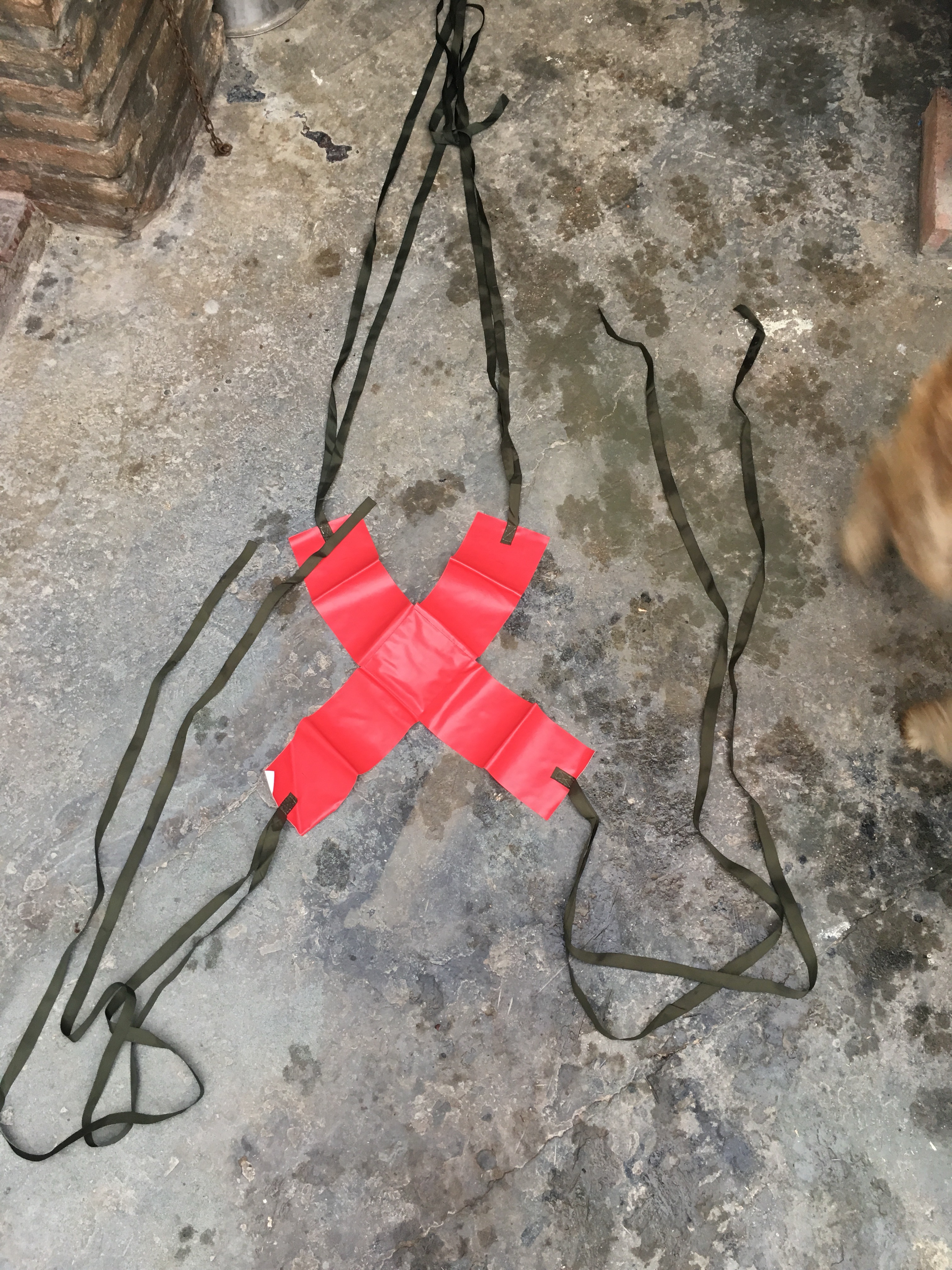 Cruz Roja Cruz Roja