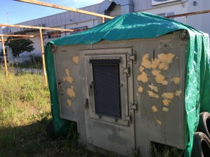 primeros días de restauración